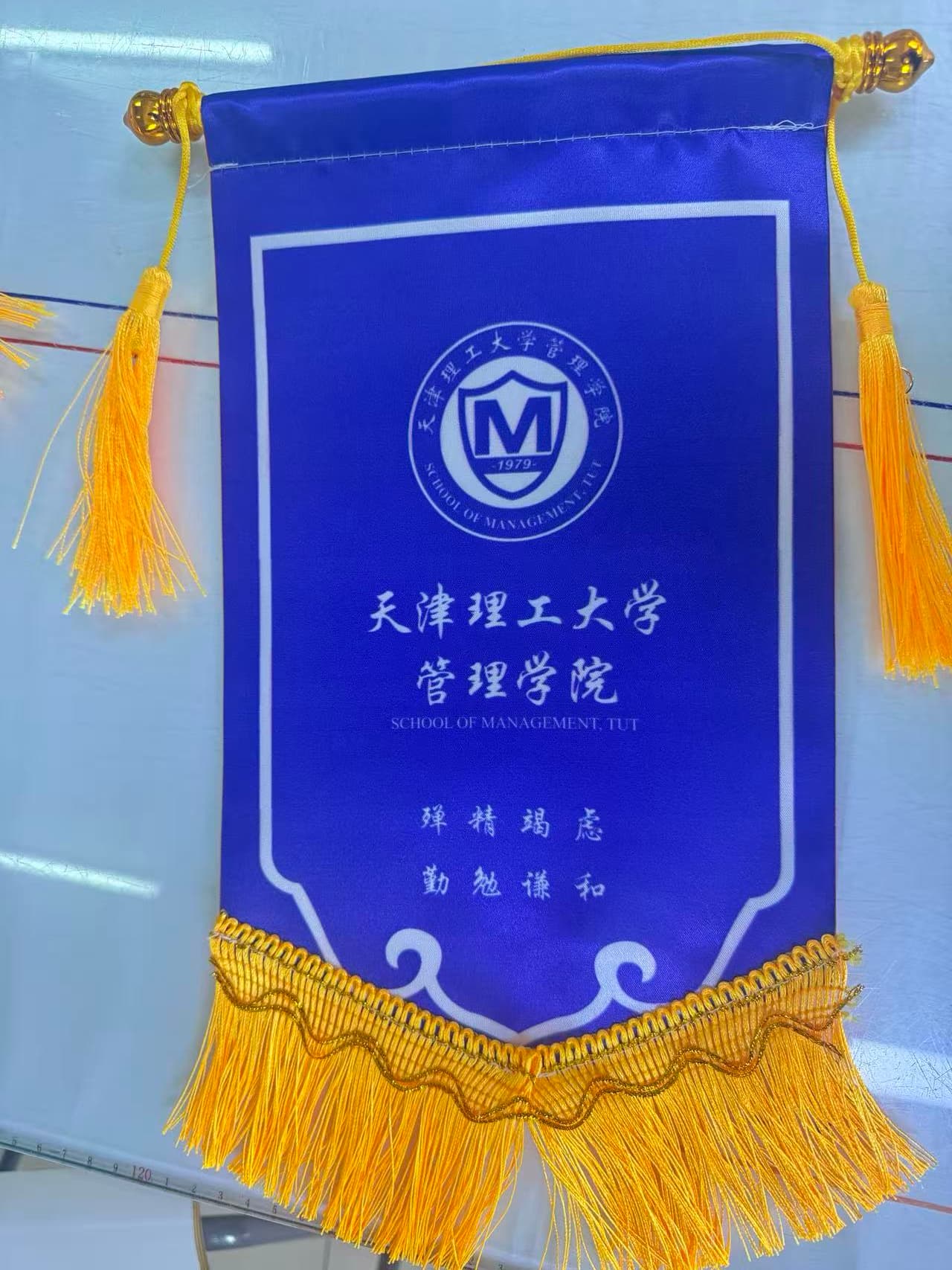 交换旗贡缎布 案例图片 3