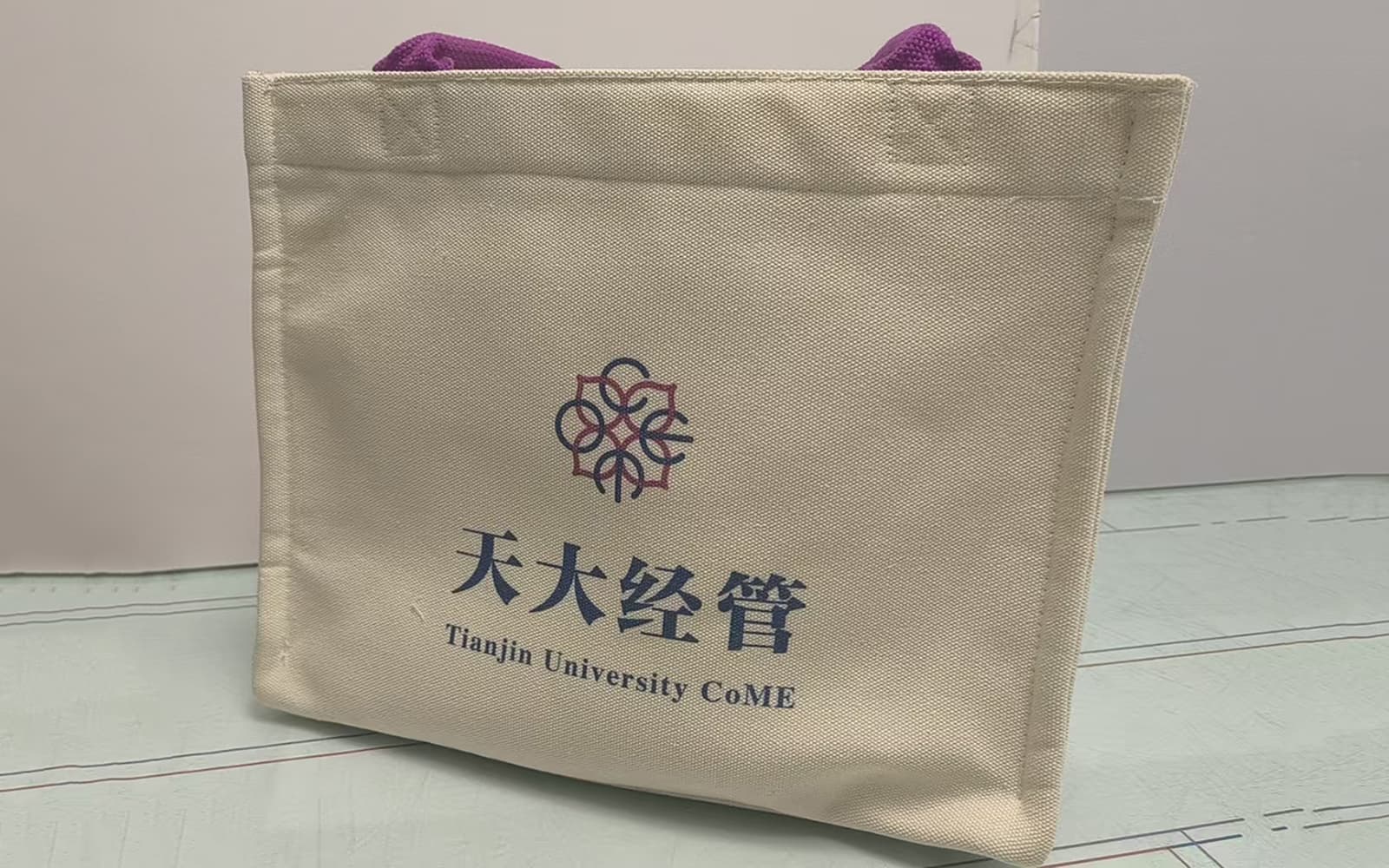 帆布袋 案例图片 2