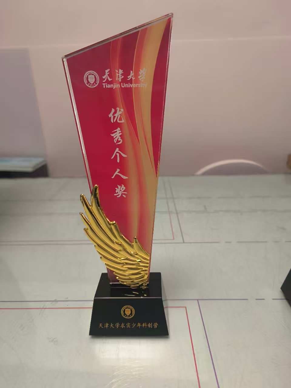 奖杯 案例图片